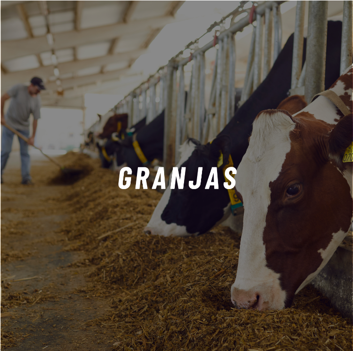 Captura de pantalla 2024-04-28 230206